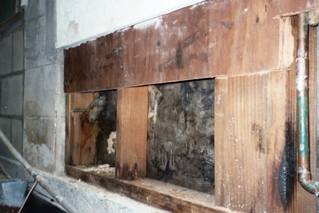 Foundation sill plate water damage, mold conditions