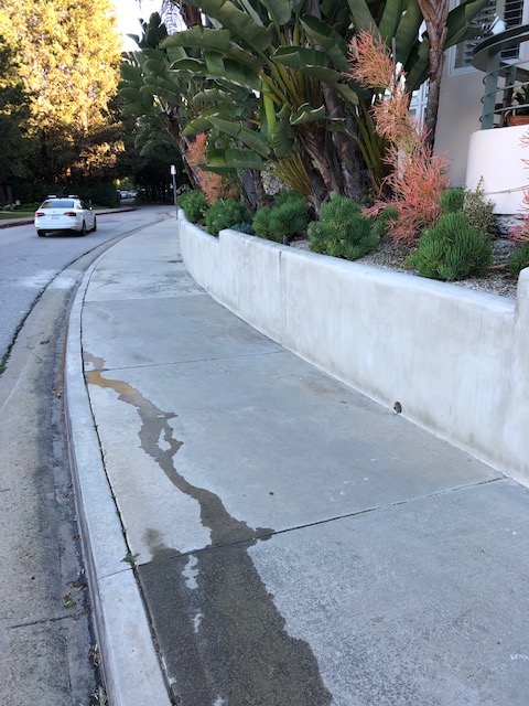 Planter French Drains Project Completed