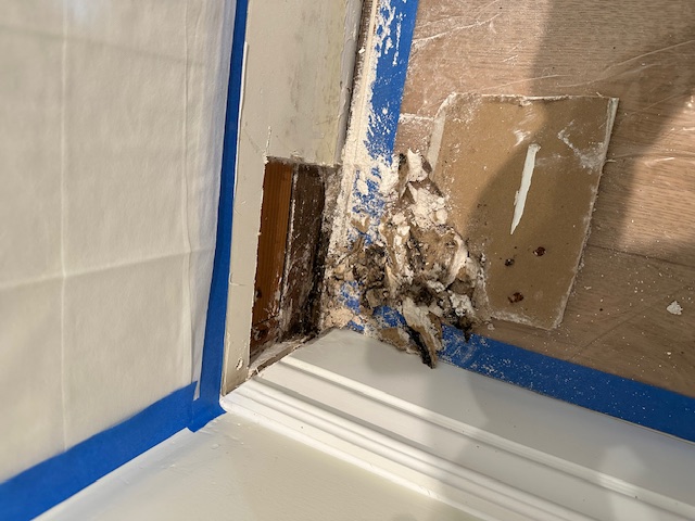 Foundation water intrusion creating interior water damage mold