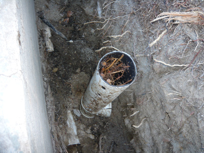 Defective downspout drainage