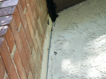 Defective chimney flashing edge detail creating water intrusionDefective chimney flashing edge detail creating water intrusion