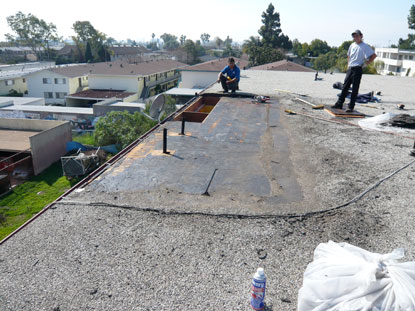 Replacing roof plywood substrate wood rot and torch down roofing membrane