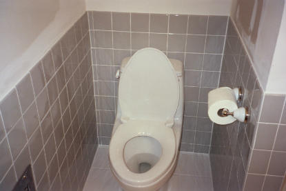 Bathroom restoration complete