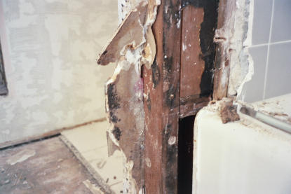 Containment barriers to isolate spread of mold spores