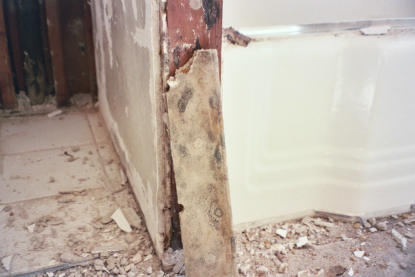 Mold remediation adhering to IICRC S520 standards