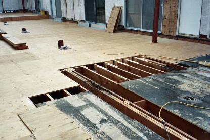 Long term water intrusion creating structural dry rot fungus to elevated deck