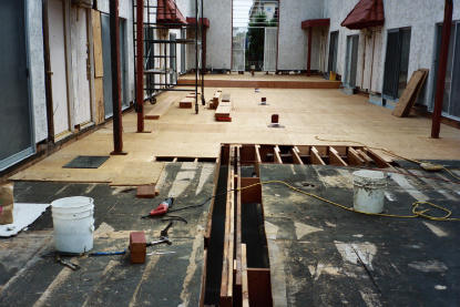 Dry rot fungus to elevated deck structural framing located under concrete deck slab